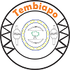 Tembiapo Ltda